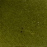 Couleur vert olive-Poterie d'Anduze -Les Enfants de Boisset